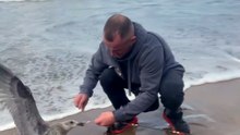The compassionate man saves a struggling seagull before it can fly away again