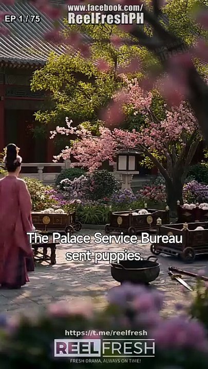 Woof, Your Majesty Be My Forever - (2026) ✅ FULL EP [Full Movie]