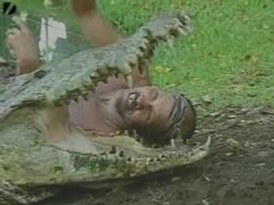 Mon ami Crocodile