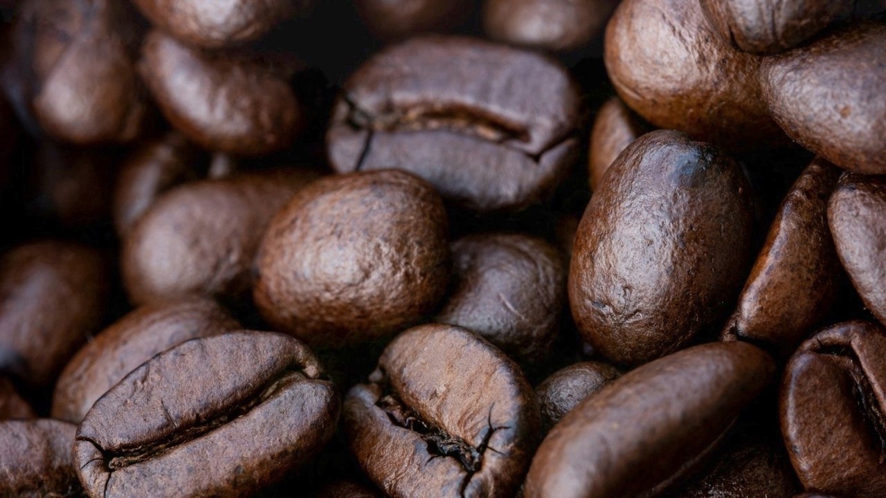 Lab-Grown Coffee: Could It Replace Traditional Beans?