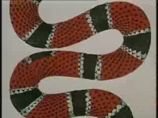Jan Svankmajer, courts métrages volume 1