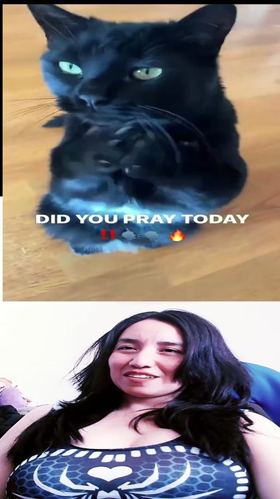 ¿Por que deberias tener mascotas?