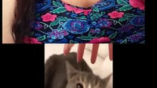 ¿Por que deberias tener mascotas?