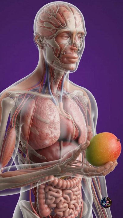 Ever wondered what REALLY happens inside your body after eating a juicy mango 🥭✨