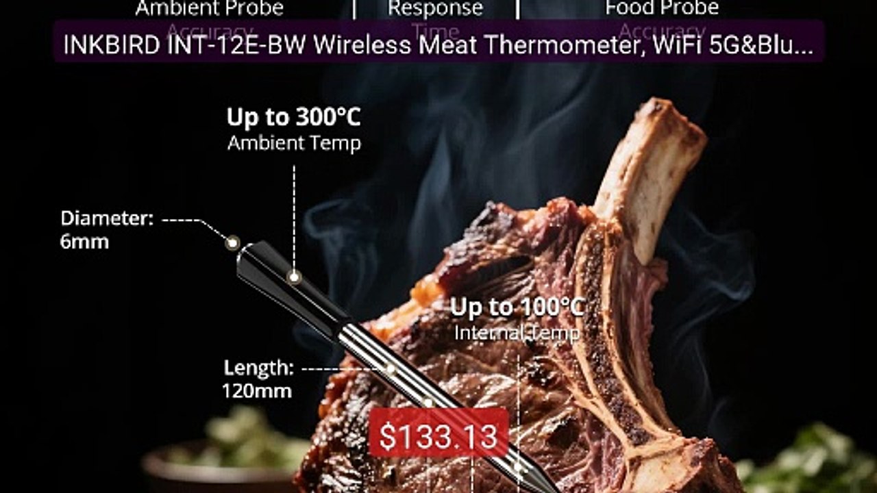 INKBIRD INT-12E-BW Wireless Meat Thermometer, WiFi 5G&Bluet... -- Top Pick 2026 | Unbeatable Price!