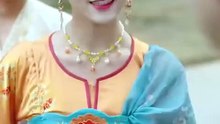 The Princess Refuses Divorce