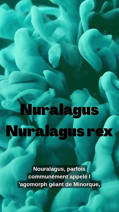 Nuralagus Nuralagus rex