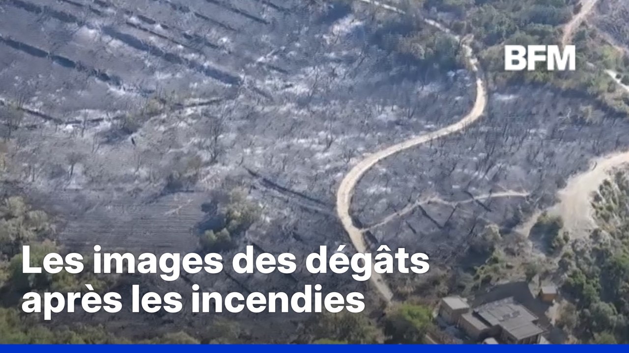 Les images aériennes des dégâts après les incendies dans les Pyrénées-Orientales