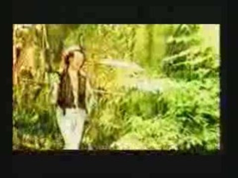 Zeljko Bebek - Malo je od mene ostalo