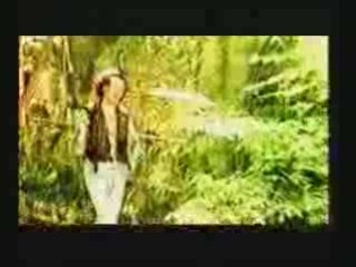 Zeljko Bebek - Malo je od mene ostalo