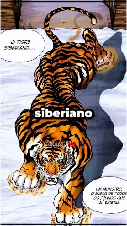 PICKLE VS TIGRE GIGANTE O FIM DO TIGRE SIBERIANO!