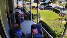 Funniest Moments Security Cameras Captured