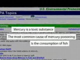 Top Three Reasons Not to Eat Fish