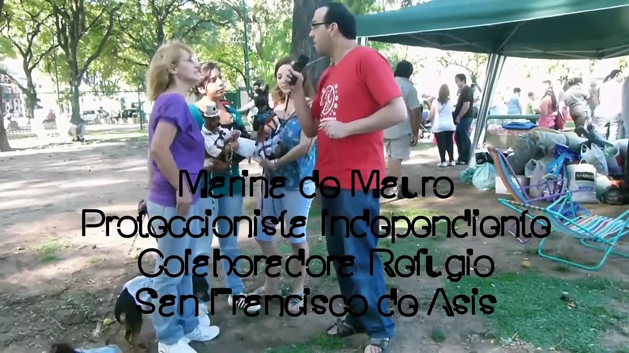Héroes Anónimos  (Documental maltrato animal)