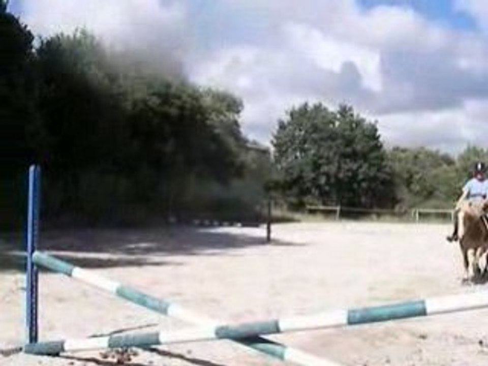 obstacle