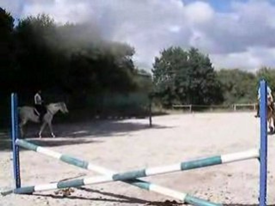 obstacle