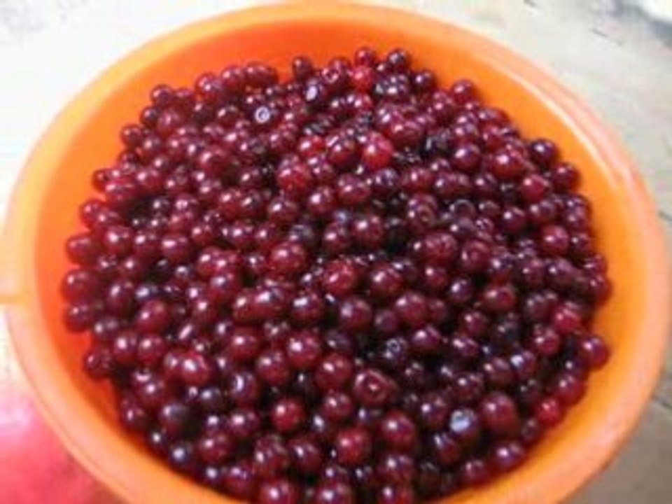 kompot ot vishni