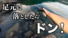 【穴釣り】足元に落としたらドン！落ちパク連発！