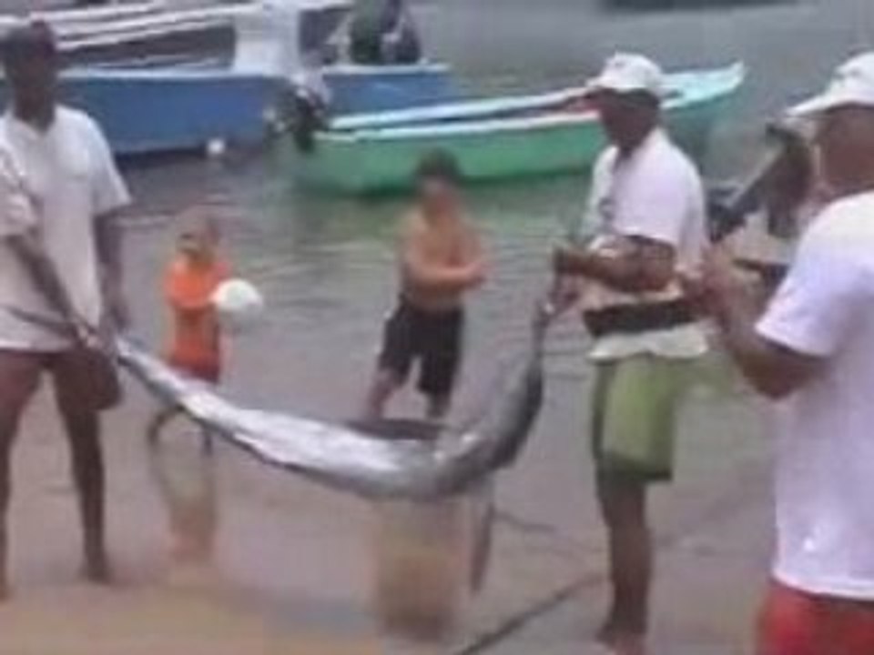 FETE DE LA MER