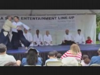 Aikido Exhibition at the Morikami Museum 2008 Harry