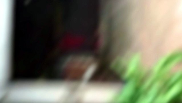 Vídeo flagra mulher em situação de rua ameaçando moradora antes de ser presa em Cascavel