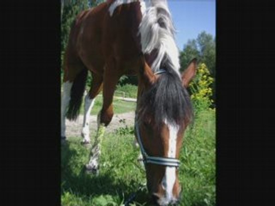 SansTitre_0002