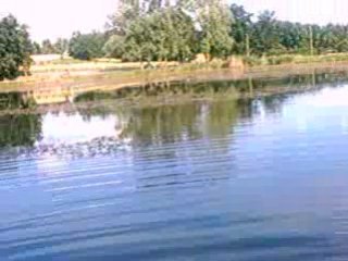 remise a l'eau d'une commune et d'une miroir