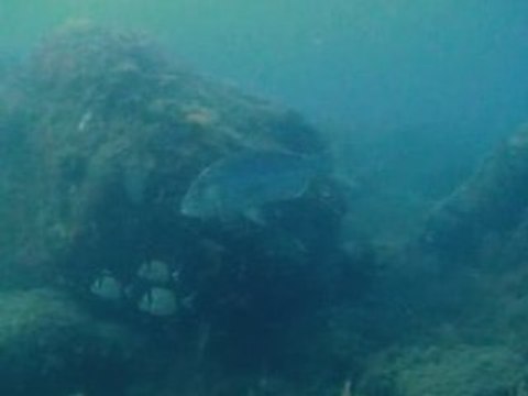 Réserve Banyuls Juin 2008 filtre rouge