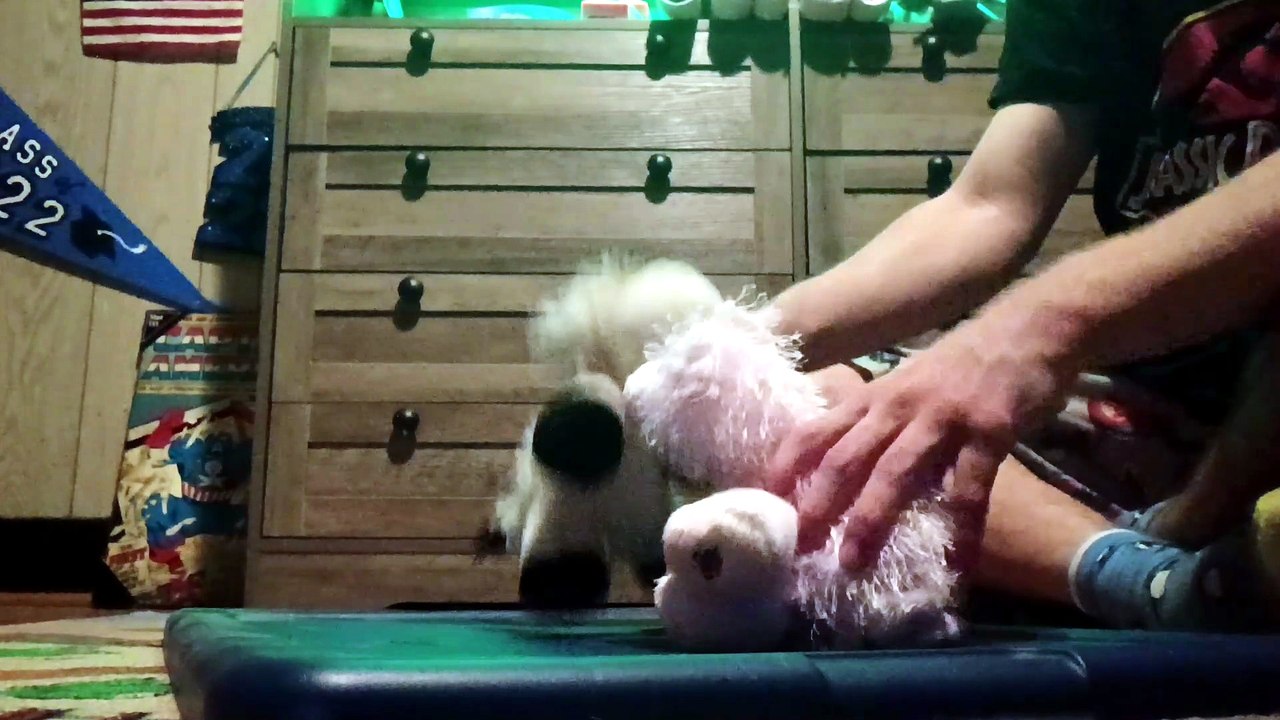 Webkinz The Baconator vs Cow Schwarzenegger