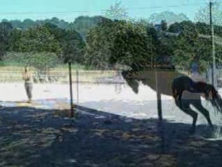 Saut d'obstacle avec Pantin