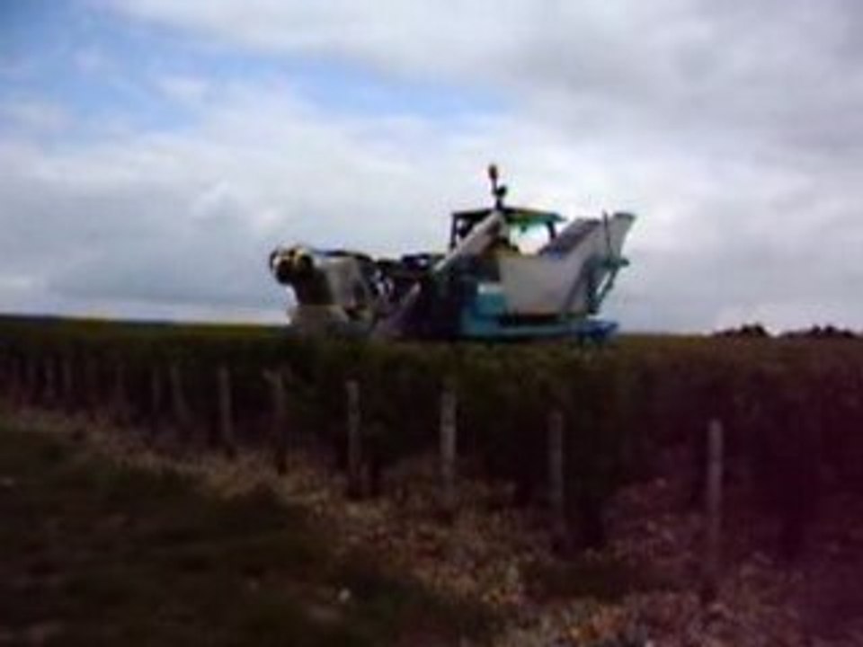 loiseau v 104