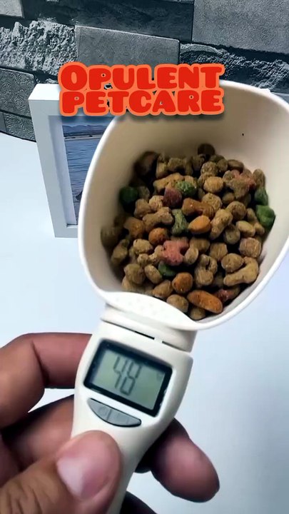 Digital Electronic Weighing Spoon – Pet Food Portion Scale with Detachable Cup