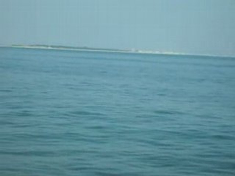 S5000816