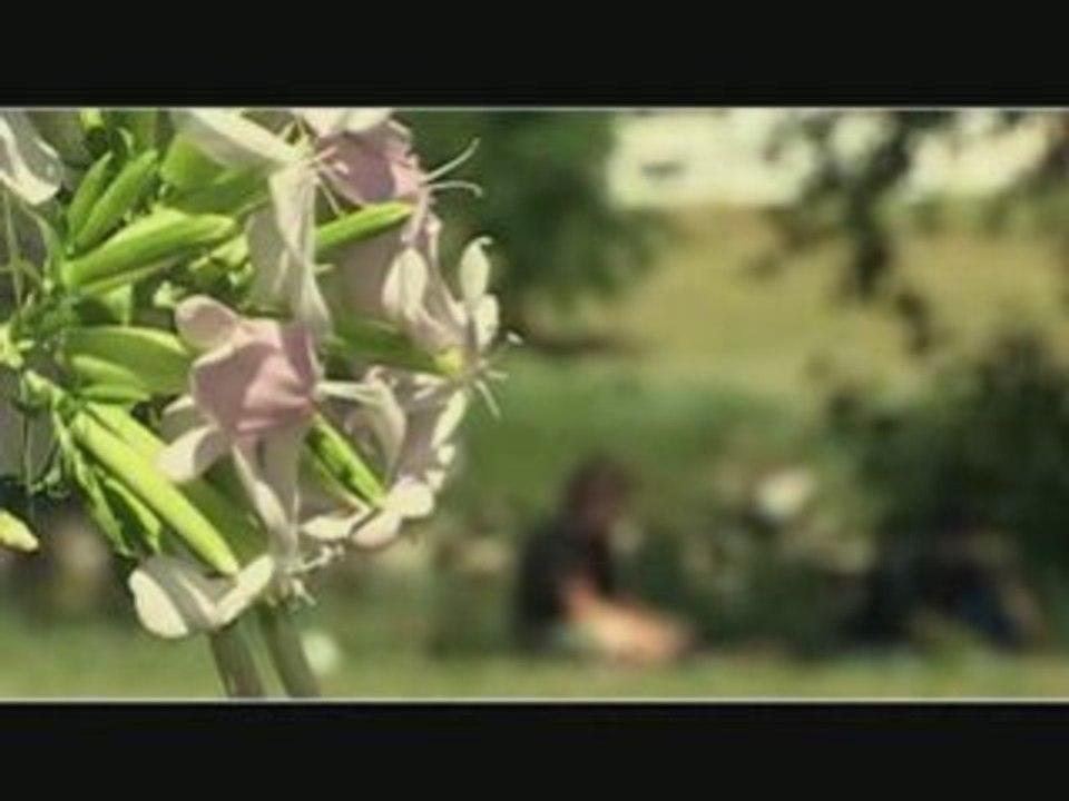 Sortie de l'association Slide Spirit à Millau - 29 juin 08