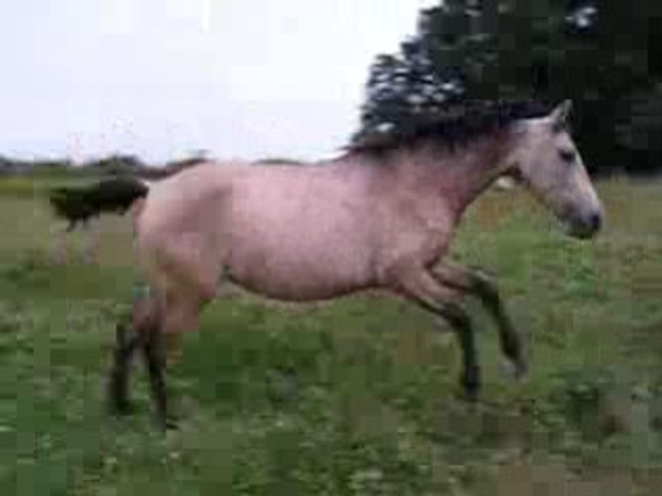sublime derniere