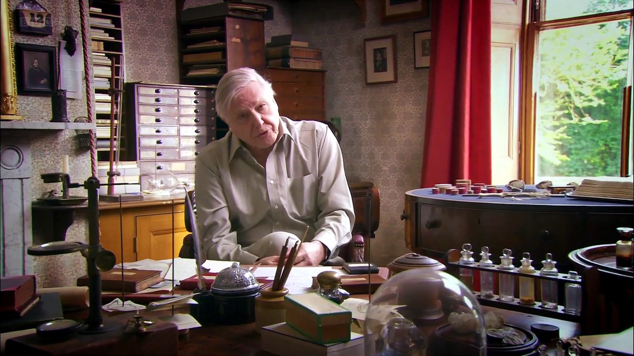 Charles Darwin and the Tree of Life 达尔文与生命之树