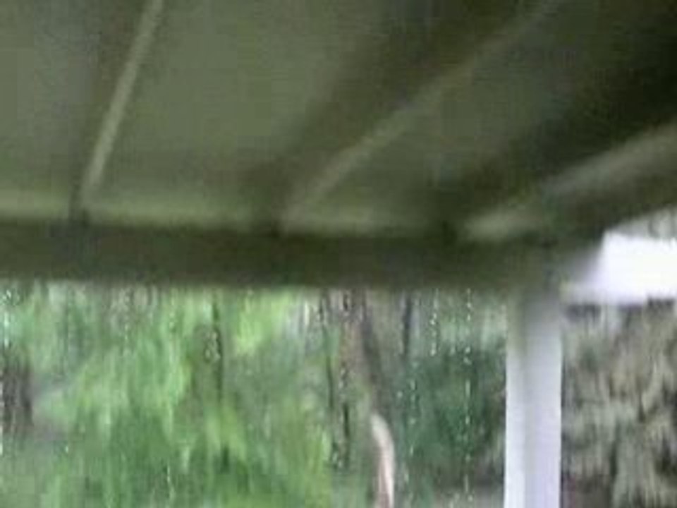 quand ça pleut, ça pleut ...