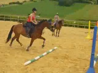 saut de puce avec ouin