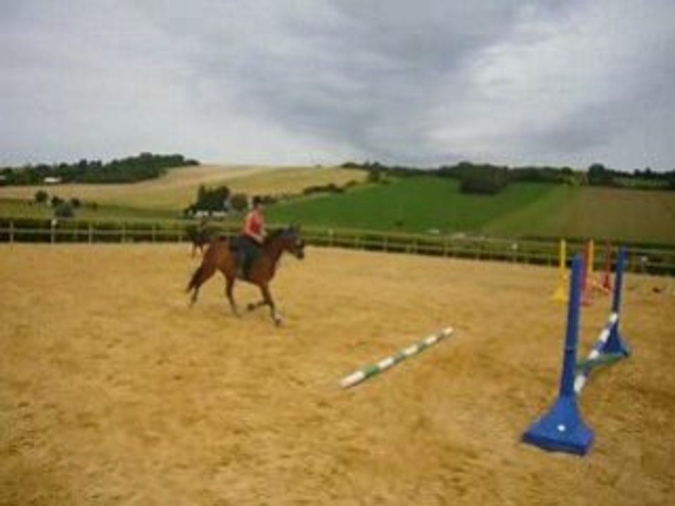 saut de puce avec vertical