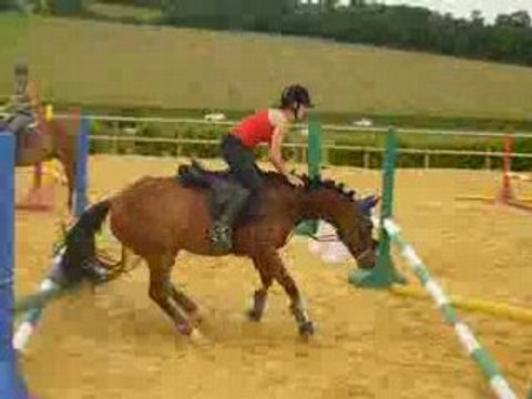 début de l'apprentissage saut de puce