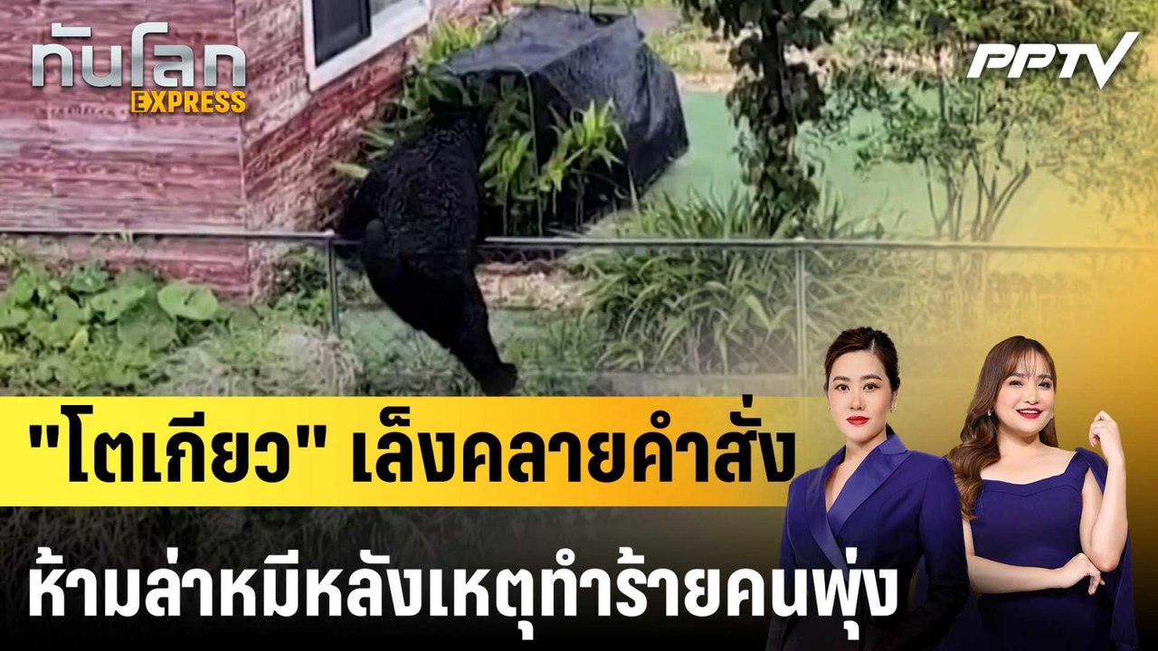 "โตเกียว" เล็งคลายคำสั่งห้ามล่าหมีหลังเหตุทำร้ายคนพุ่ง|ทันโลก EXPRESS | 10 ก.ค. 69