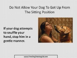 Dog Training Hand Signals