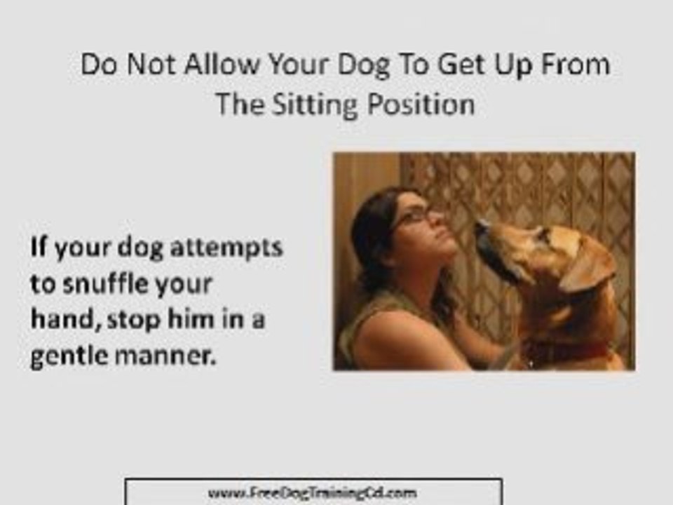 Dog Training Hand Signals