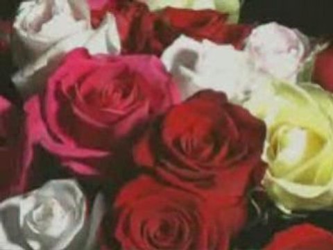 Goutte de temps goutte de femme