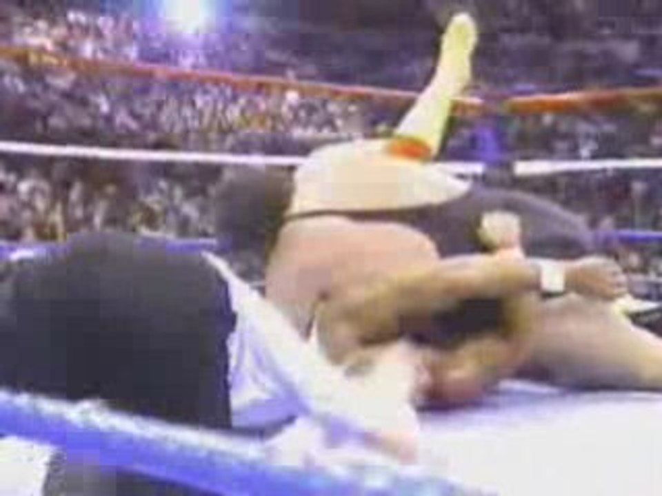 Hulk Hogan
