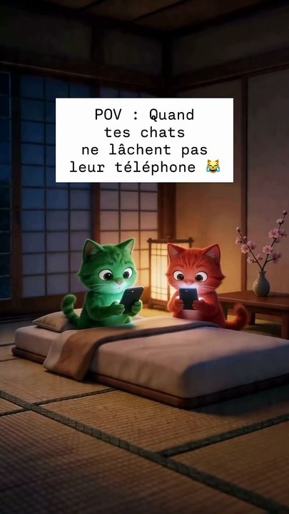 POV : Quand tes chats ne lâchent pas leur téléphone 😹 #fypreelsジ #cats_of_instagram #smartphon.mp4