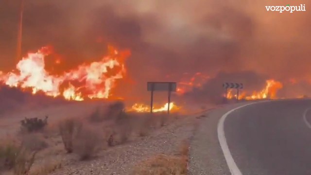 Imágenes del grave incendio en Los Gallardos (Almería)