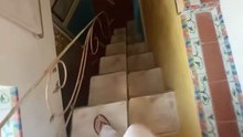 Funny Apartment Staircases