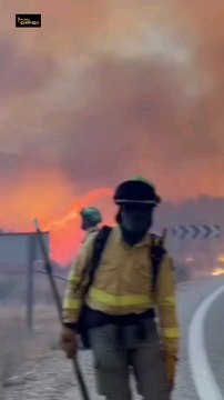El incendio forestal declarado en Los Gallardos (Almería) ha dejado al menos once personas fallecidas, convirtiéndose en una de las mayores tragedias provocadas por un incendio forestal en Andalucía en los últimos años.Según las primeras informaciones,