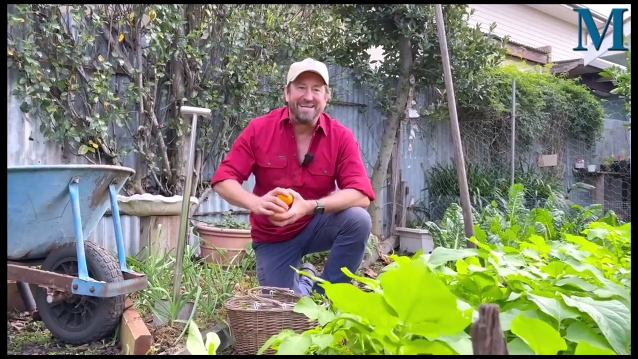 Brian and Lisa Welling’s prepare to open their garden for the 2026 Illawarra Edible Garden Trail